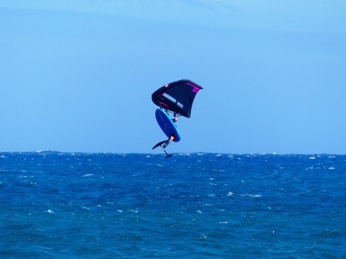 Wingfoil Grana Canaria 2024