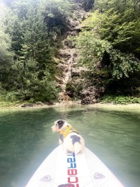 Soča na paddleboardu