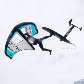 freewing-wing foil